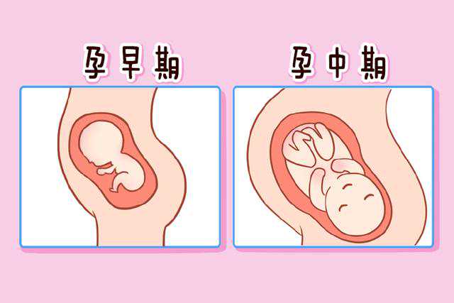 青岛妇婴医院可以做供卵